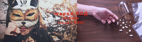 гидропоника Абаза