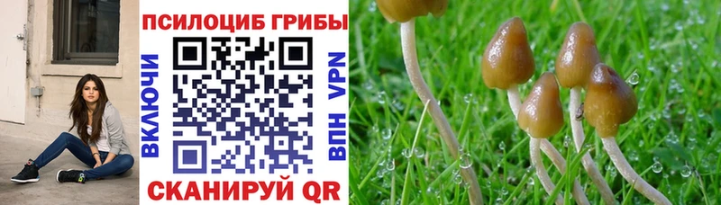 Галлюциногенные грибы MAGIC MUSHROOMS цена omg tor Лиски
