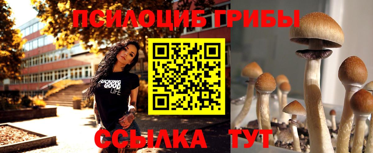 Лиски  Псилоцибиновые грибы GOLDEN TEACHER  Вход с VPN  Псилоцибиновые грибы Cubensis 